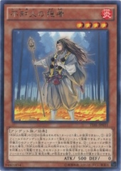 Shiranui Solitaire