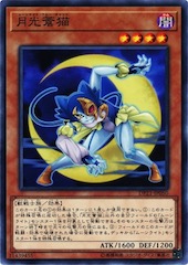 Lunalight Blue Cat