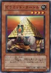 Pyramid Turtle