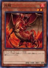 Magna Drago