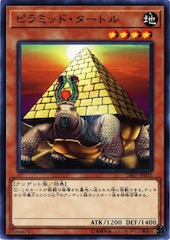 Pyramid Turtle