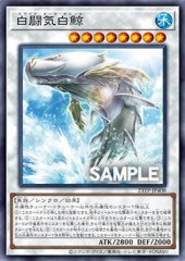 White Aura Whale