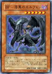 Blackwing - Elphin the Raven