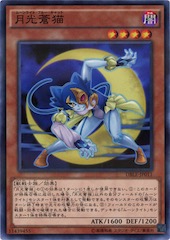 Lunalight Blue Cat