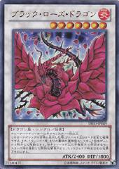 Black Rose Dragon